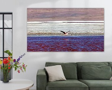 The flamingos of Laguna Colorada by Roland Brack
