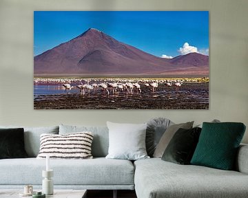 The flamingos of Laguna Colorada by Roland Brack