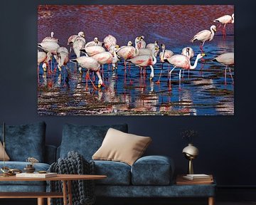The flamingos of Laguna Colorada by Roland Brack