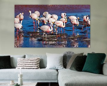 The flamingos of Laguna Colorada by Roland Brack