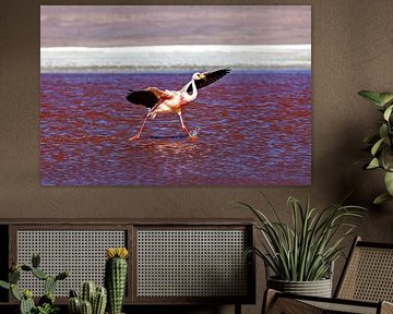 The flamingos of Laguna Colorada by Roland Brack