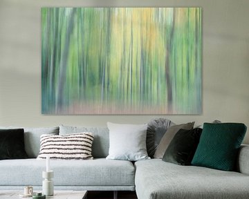 Forest lines