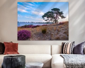 heather by snippefotografie