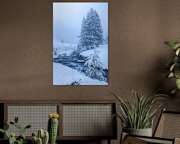 Mountain stream in the Knuttental with snow drift, Tauferer Ahrntal, South Tyrol