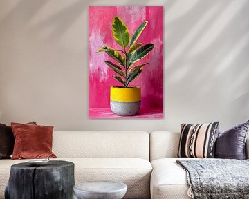 Ficus tropical rose n° 2
