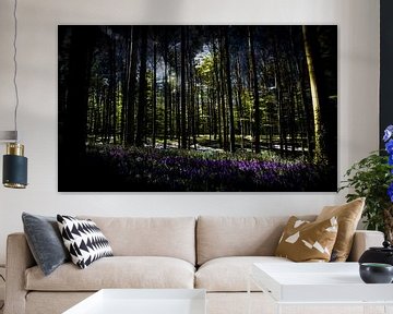 Dramatic Hallerbos by Peter Westerik