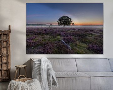 Sunrise on the Bussum Heath