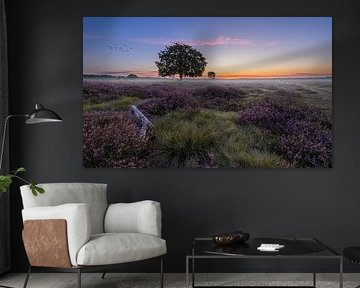 Trees on the Bussummer moor by peterheinspictures