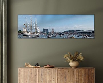 Sail 2025 Amsterdam panorama