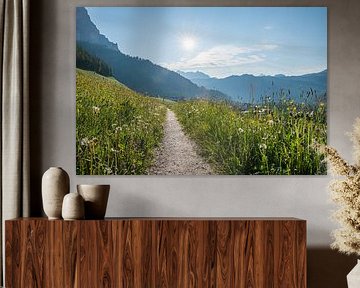 sentier à travers un champ de fleurs sauvages, Tyrol du Sud sur SusaZoom