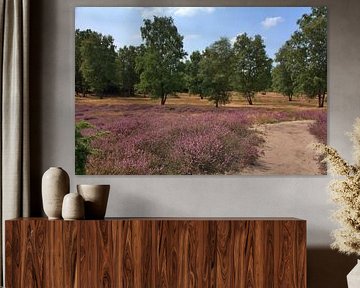 Westruper Heide