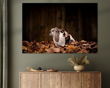Autumn Hideaway in a Sea of Leaves by Thorsten Güttes / 25pictures