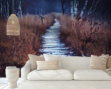 Holzsteg durchs Moor – Ein Weg in die Stille