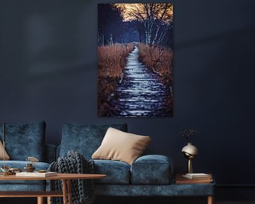 Wooden Path Through the Moor – A Walk Into Silence