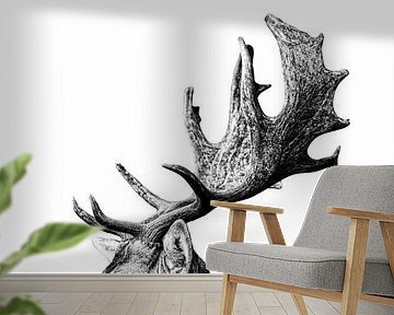 Hirsch im Profil – Eleganz in Schwarz-Weiß