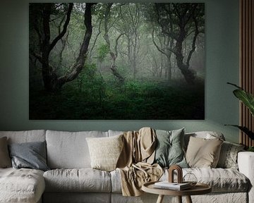 Ancient oaks in the PWN Dune Reserve near Bergen #1 by peterheinspictures