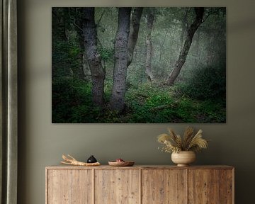 Ancient oaks in the PWN Dune Reserve near Bergen #3 by peterheinspictures