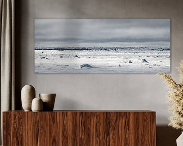 Zeeijs rond Spitsbergen van Ron van der Stappen