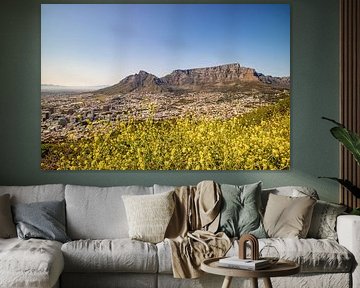 South Africa - Safaris, coastlines and vineyards by Patrick Fotografeert
