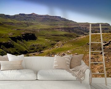 Zuid-Afrika – Safari’s, kustlijnen en wijnranken van Patrick Fotografeert