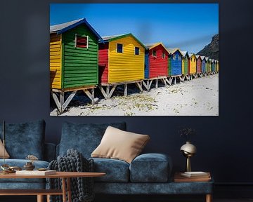South Africa - Safaris, coastlines and vineyards by Patrick Fotografeert