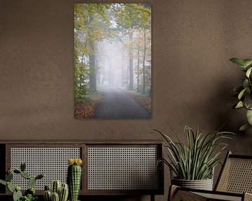 Journey in colour
