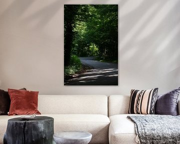 Road through 't Klooster