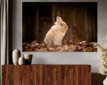 A Peaceful Moment – Rabbit in Autumn Leaves