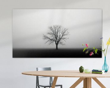Eenzame boom in mistig veld, afbeelding in grijstinten