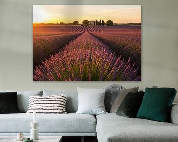 Lavender Field with Farmhouse at Sunset by Markus Gann