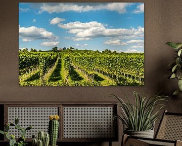 Maison rouge dans le vignoble