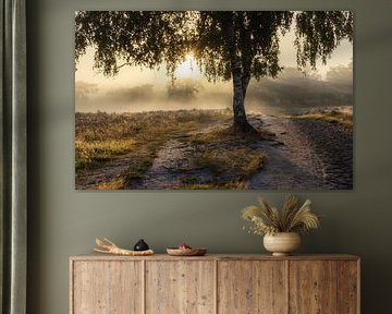 Mistige zonsopkomst op de hei