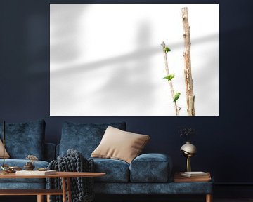 Natural Minimalism von Suzanne Bruinsma