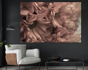 Beige spray chrysanthemums - timeless floral picture for the wall by Doortje Kwakkel