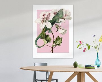 Iguana in Pelargonium van Marja van den Hurk