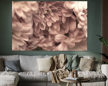 Spray chrysanthemums beige by Doortje Kwakkel