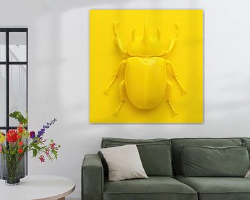 Beetle on Yellow by Studio Slabamski