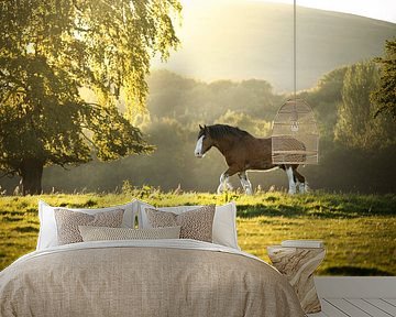 Schotse Clydesdale bij zonsondergang van Lieselotte Claesens