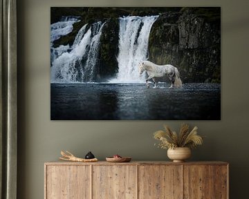 Le rythme de l'eau et du cheval sur Lieselotte Claesens