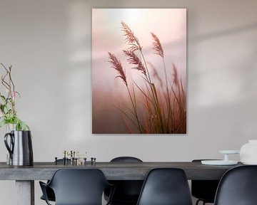 filigree grasses in a dreamy morning atmosphere - Finne grassen in een dromerige ochtendstemming by Christina Bauer Photos