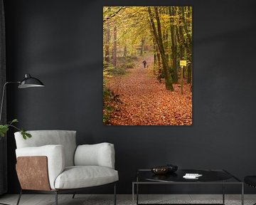 Herbstspaziergang