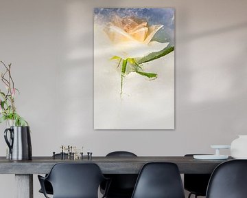 Witte roos in ijs 2 van Marc Heiligenstein