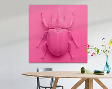 Coccinelle sur rose