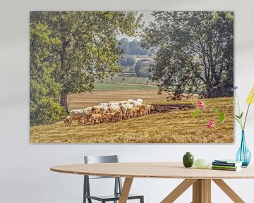 Genieten in Zuid-Limburg van John Kreukniet