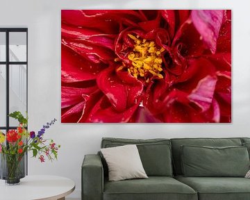 In the heart of the flower