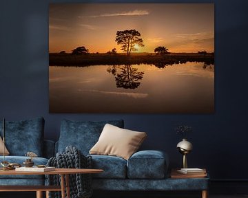Baum mit Spiegelung im Moor von Dwingelderveld bei Sonnenuntergang von KB Design & Photography (Karen Brouwer)
