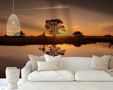 Tree with reflection on fen at Dwingelderveld during sunset