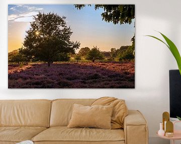 Golden hour on the moors by MdeJong Fotografie