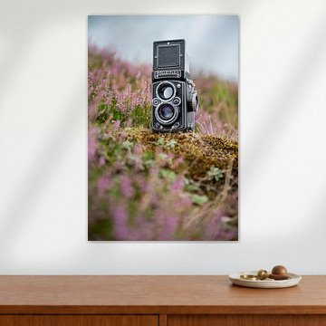 Rolleiflex in freier Wildbahn