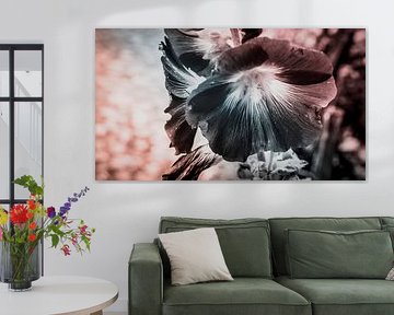 Between light and shadow - the poetic side of a flower by Thorsten Güttes / 25pictures